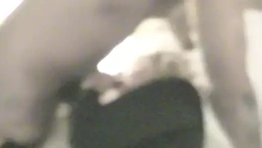 Siyah bull cums derin içinde hotwife