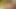 Porno yıldızı milf çobanpüskülü batı Hardcore