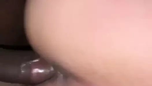 Siyah kahrolası latina kedi