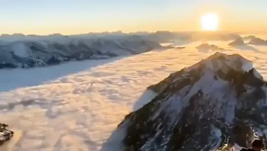 organizasyon ile Antarktika