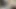 Siyah Sürtük Büyük Yarakla Sikiliyor Dövmeli Kıvrımlı Penis