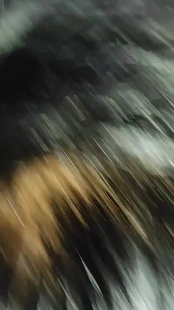 Обязательный для просмотра момент из "Моему боссу очень нравится мои маленькие, он любит, чтобы оставить меня"