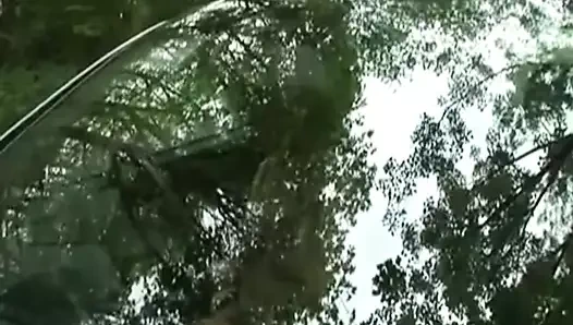 İngiliz milf ormanda bir yürüyüş alır