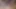 pov lezbiyen KEDİ yalama yeme