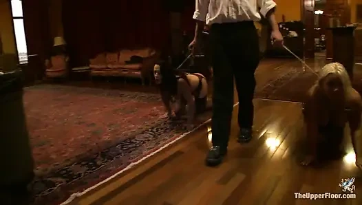 Ağacı Dekore Ediyor