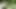 HUNT4K. Polygamy Porn