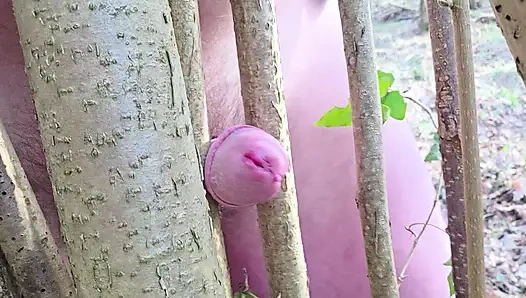 Horny alone in the forest, a hazel bush gets popped