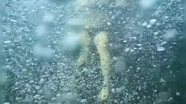 Denizde yüzüyor ve teşhir ediyor