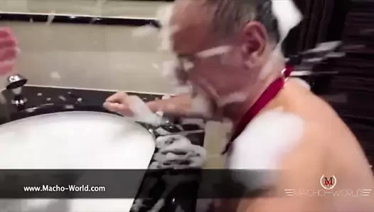 Dom immobilienmakler