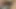 Bff arkadaşım benim oğlan kedi ihtiyaç duyuyor
