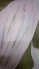 saree.mp4 seksi bayan