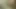 Hızlı bir duş olması gerekiyordu, ama