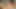 Capri cavanni ve zoey holloway sikme