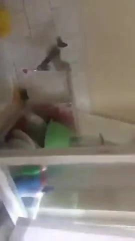 Hijab anne sikme ile adım oğul