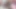Yaramaz Kolombiyalı kadın seks karşılığında fotoğrafçıya sunuyor