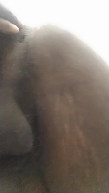 Моя настоящая черная девственница с красивой задницей