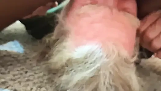BLU Nastie düzgün bir amcık yalama istiyor