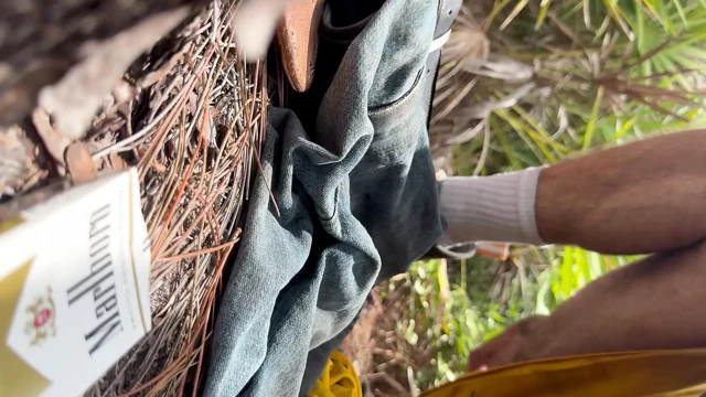 Yeni öğle yemeği molası takıntım