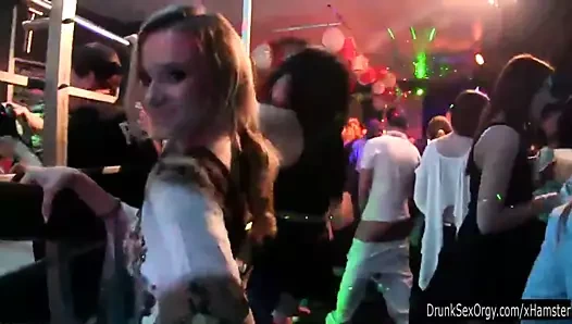 Pis parti civcivleri dans ediyor