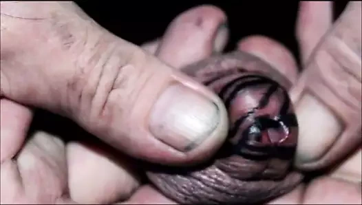 Dövmeli penis