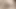 Milf abanoz bbw cumshot