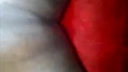 Jamaikalı kız kedi oyun