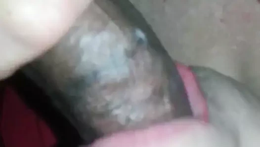 Kırık beyaz kaltak kırlangıçlar