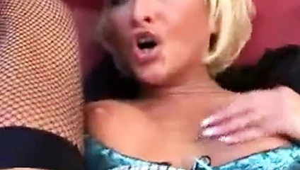 Eşek ve kedi içinde salatalık ve şişeler