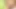 Gigi allens porno dan'in şişman parmaklarıyla anal sikiliyor!