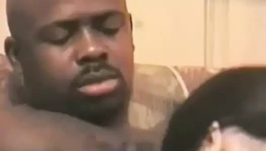 Siyah horoz için bir beyaz kedi