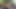 4K'da tam uzunlukta ultra hd versiyon et renkli çoraplı orijinal solo selfie'nin süper net kopyası