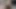 Niki Snow cam dildoya uzanıyor ve hassas kıllı amına kapsamlı, yoğun bir egzersiz yapıyor.