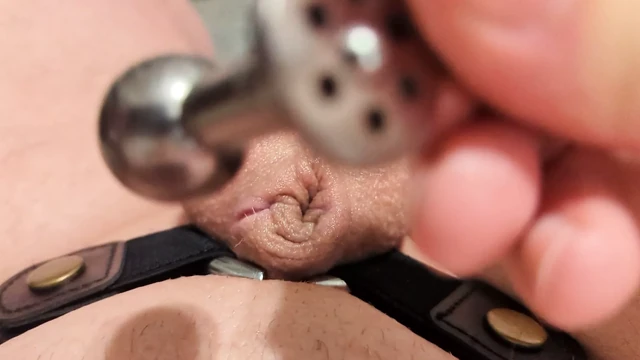 Надеваю мой новый шарик в перевернутой клетке целомудрия