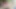 Kıvırcık bir kullanıcıyla randevuya gider ve onu kedi içinde sıcak bir anal alır - mydirtyhobby