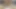 Abanoz bbw superstar mz sütlü diva olduğunu çarptım tarafından bbc