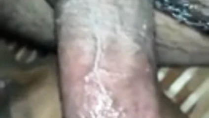 Harika Hintçe amcık