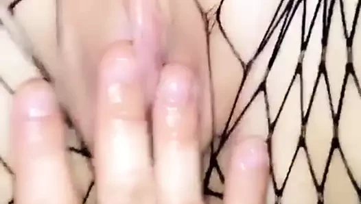 Benim şişman ıslak beyaz kedi