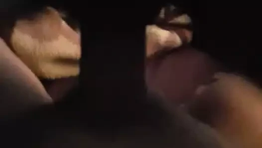 büyük mexican horoz içinde küçük Asya KEDİ