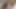 Yaramaz arkadaşlar kobi ve gina vücutlarına karşı koyamazlar