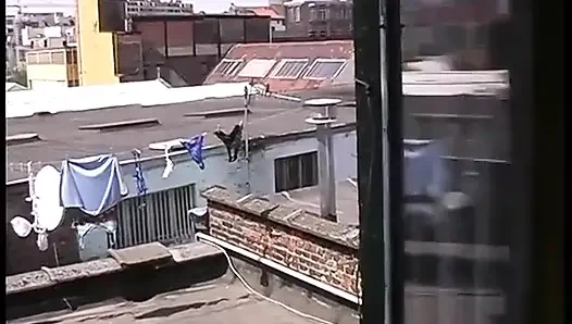 Güzel Fransız Sarışın Eski Kızı Boşalttı