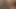 Daina ilahi ırklararası oral eylem
