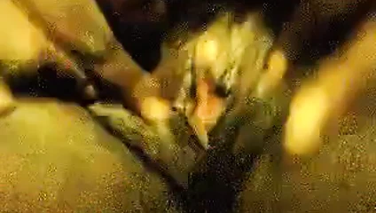 vibratörümle oynamak