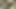 Büyük memeli sarışın orta yaşlı seksi kadın yarak emiyor