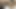 Klitoral stimülasyonla titreyen orgazm