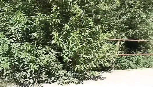 Kaslı erkekleri ve nasıl seviştiklerini seviyorum!