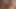 Siyah4k. siyah arkadaş matkaplar beyaz kırpılmış kedi genç