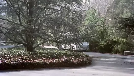 Schlumpfs Klassiker 54