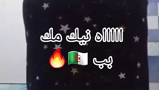 Prof vol 2 f douche tbanyaaatt zella divorce skhouna