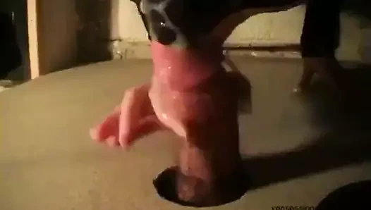 Duvar deliği sürtüğü