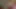 Teaser beyaz sutyen çıkarır
